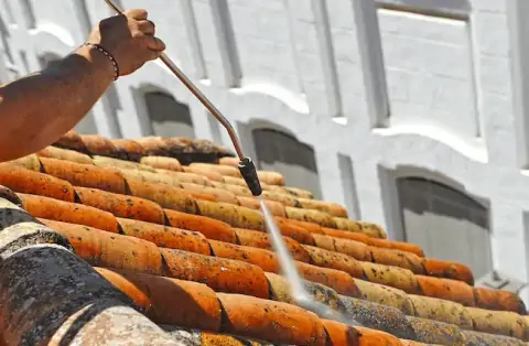 Nettoyage de toitures - Thiverval-Grignon